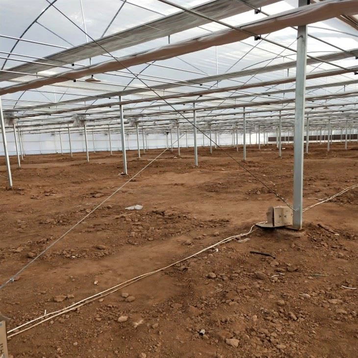 Steel Frame Polytunnel best