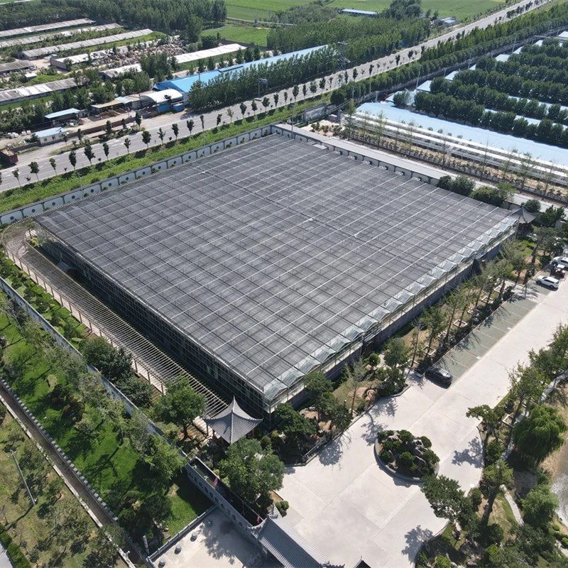 About Our Company